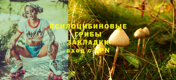 прущая мука Бронницы
