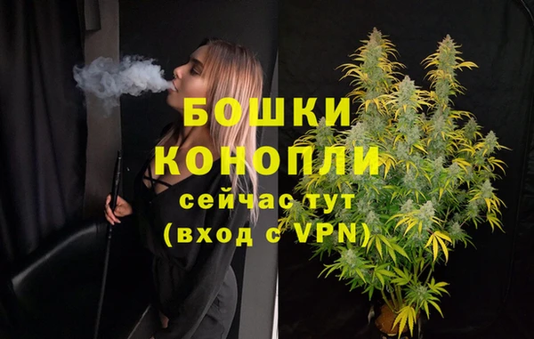 PSILOCYBIN Верхний Тагил