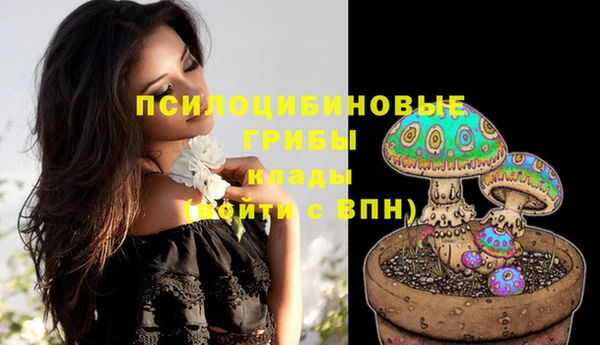 стафф Верея